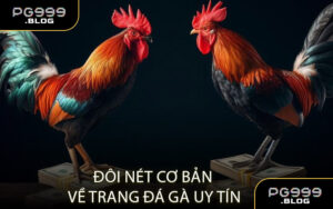 Đôi Nét Cơ Bản Về Trang Đá Gà Uy Tín