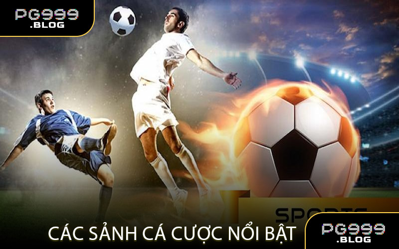 Khám Phá Các Sảnh Cá Cược Nổi Bật
