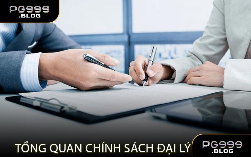 Tổng Quan Chính Sách Đại Lý 2025