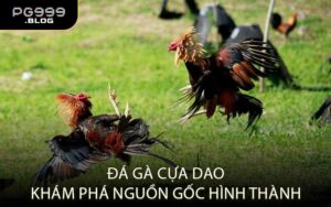 Đá Gà Cựa Dao – Khám Phá Nguồn Gốc Hình Thành