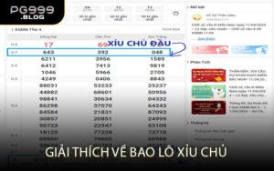 Giải thích về bao lô xỉu chủ