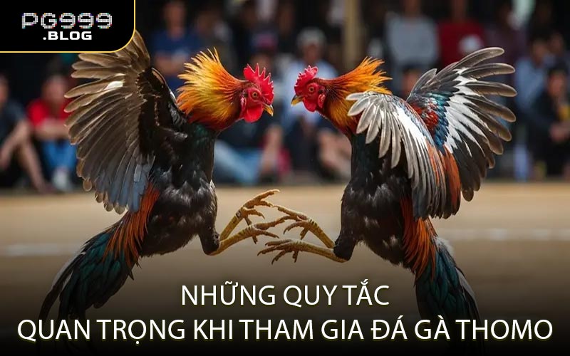 Những Quy Tắc Quan Trọng Khi Tham Gia Đá Gà Thomo