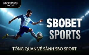 Tổng Quan Về Sảnh SBO Sport
