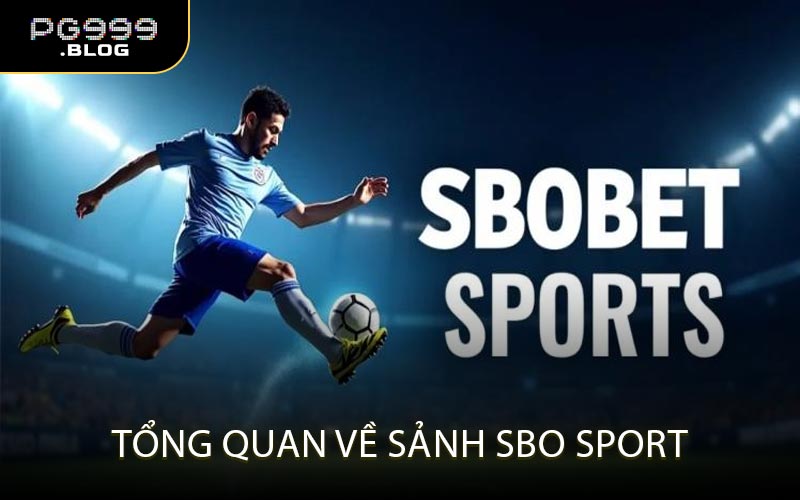 Tổng Quan Về Sảnh SBO Sport