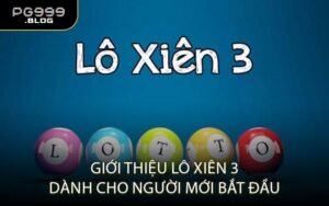 Giới Thiệu Lô Xiên 3 Dành Cho Người Mới Bắt Đầu